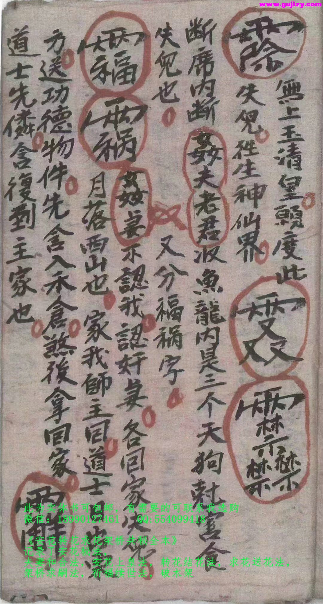 1722136631468.jpg