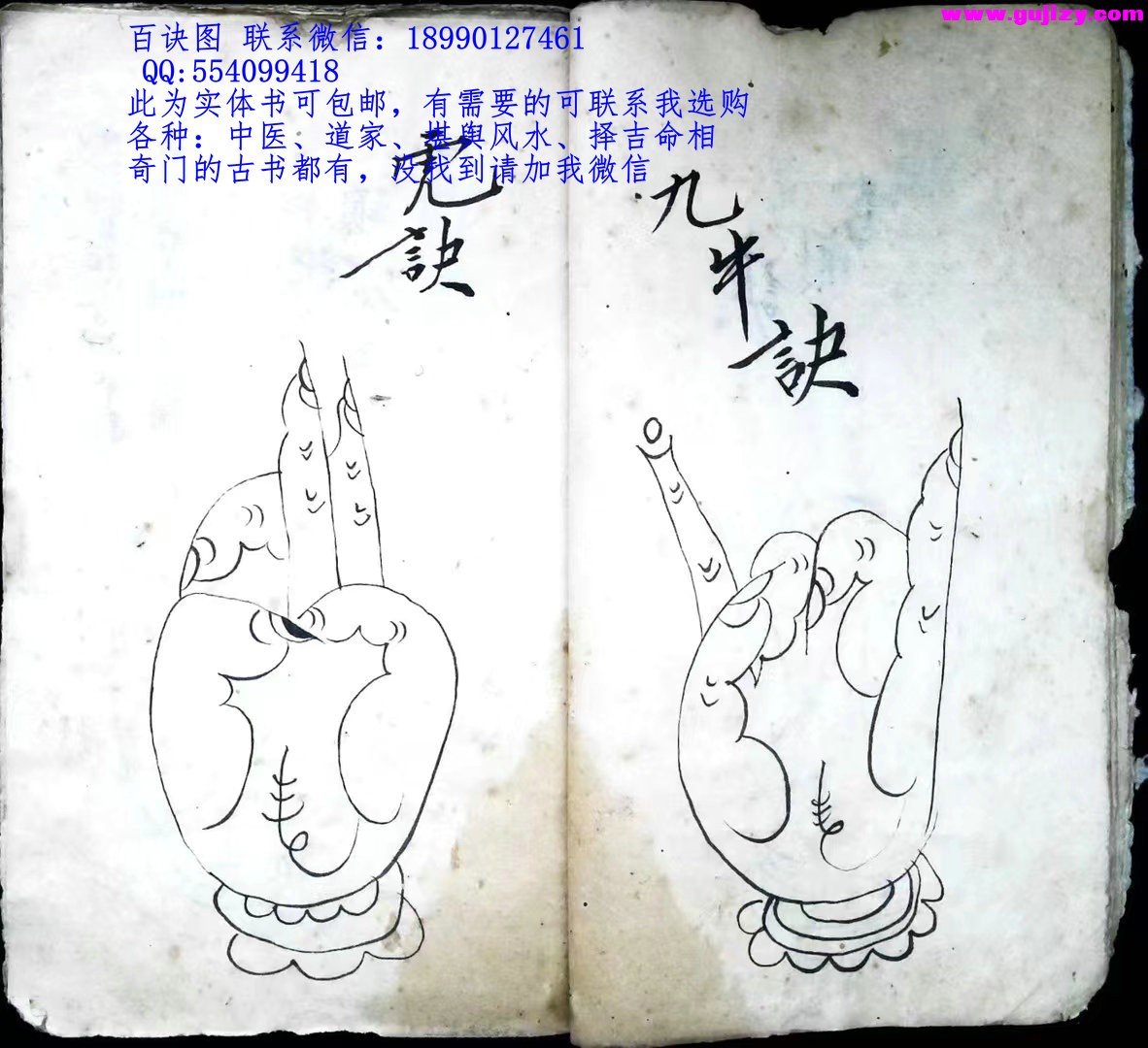 1723049633298.jpg