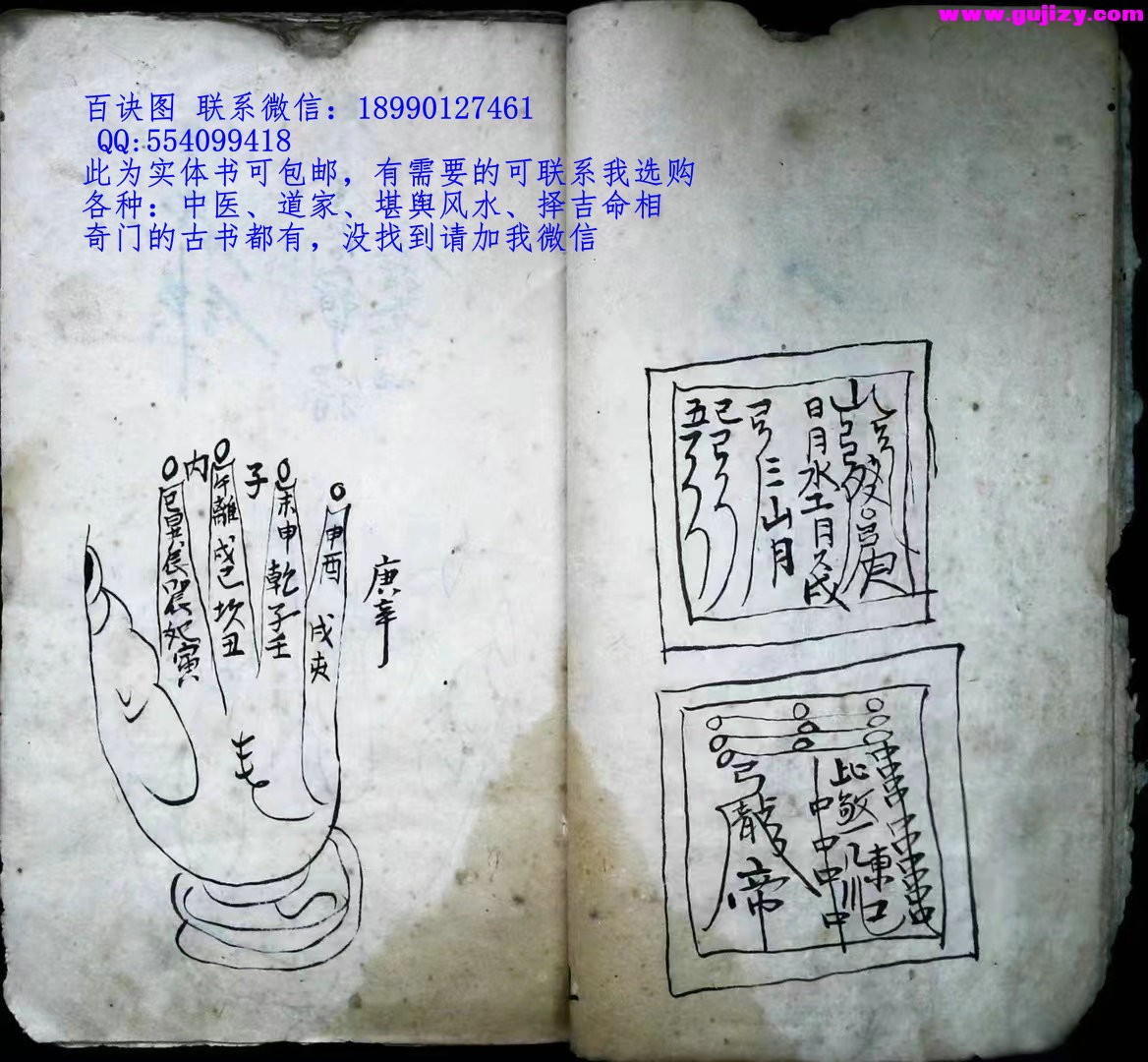 1723049630508.jpg