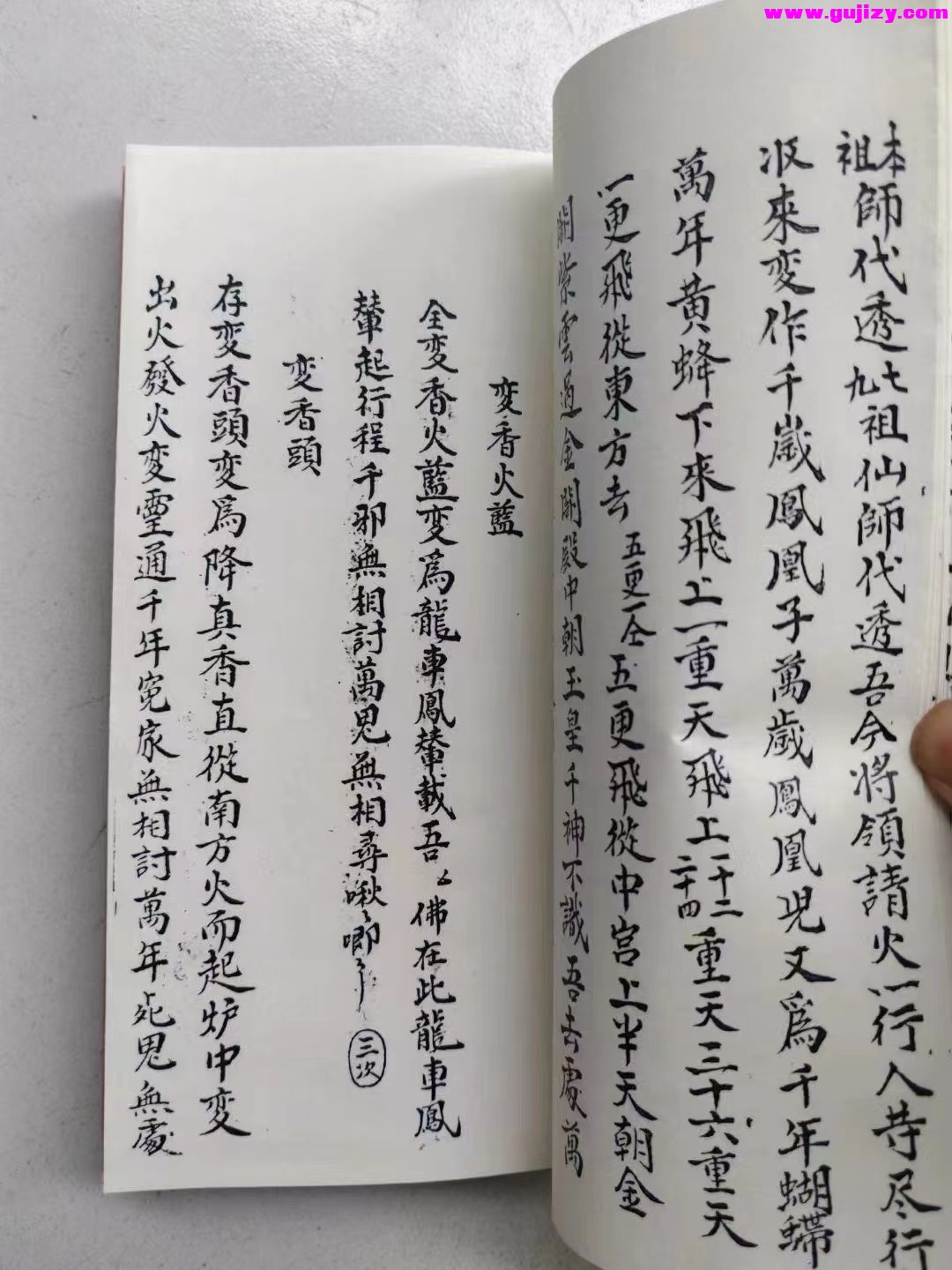 1725295012864.jpg