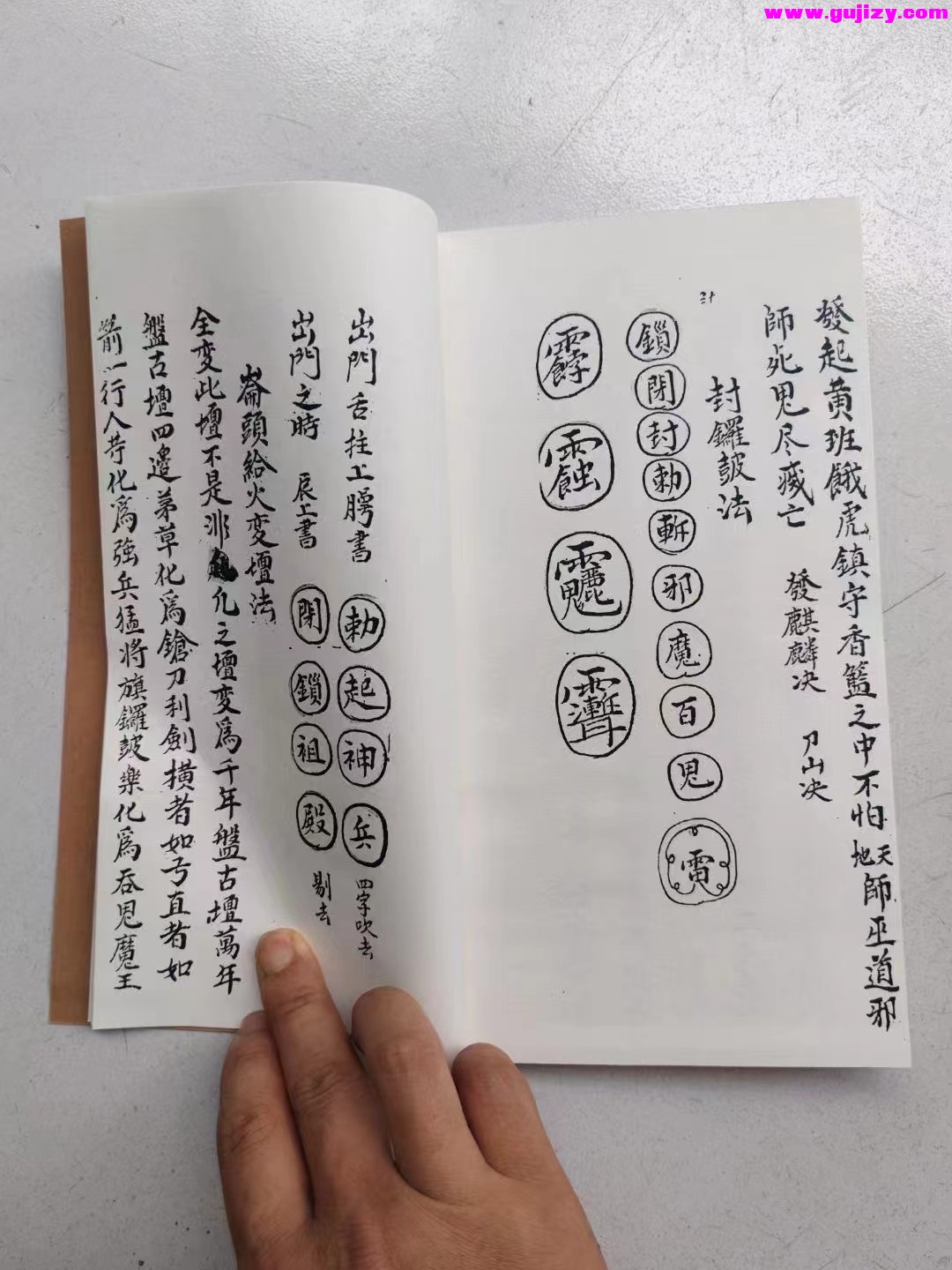 1725295018756.jpg
