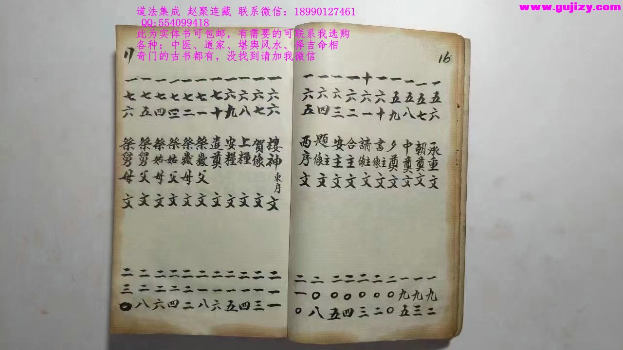 1725340570980.jpg