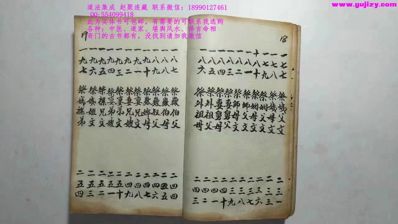 1725340571976.jpg