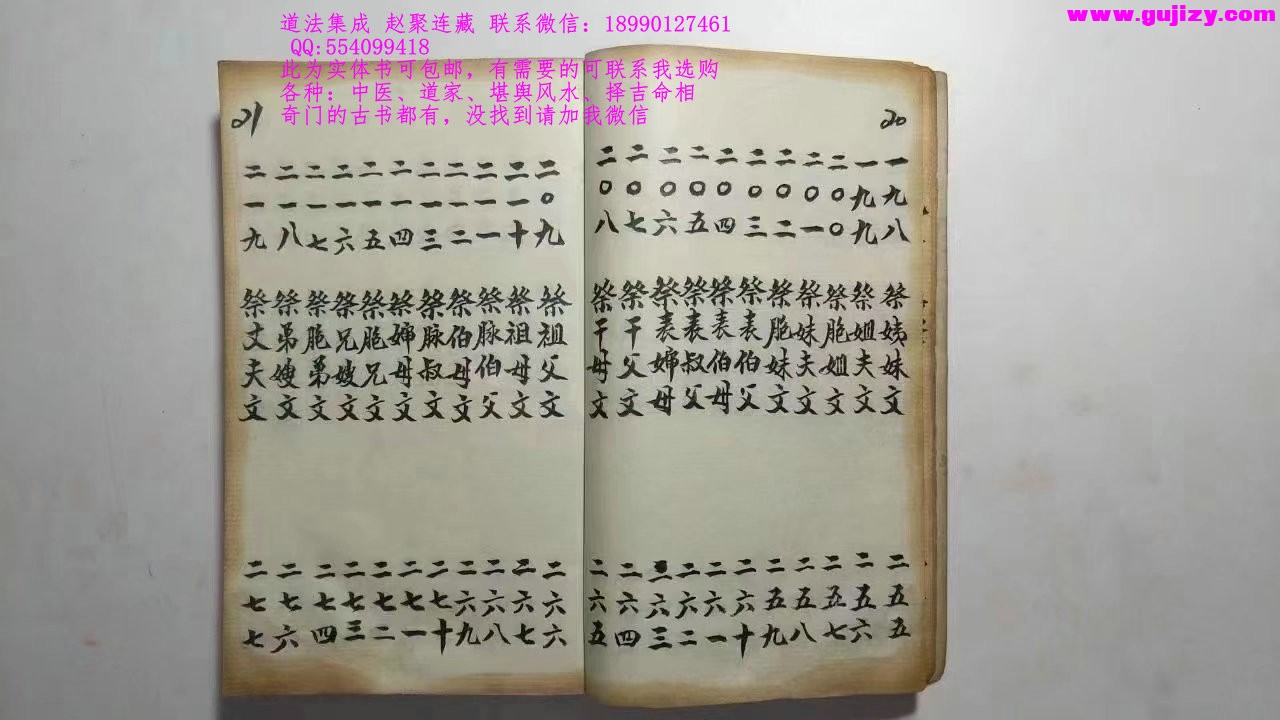 1725340573414.jpg