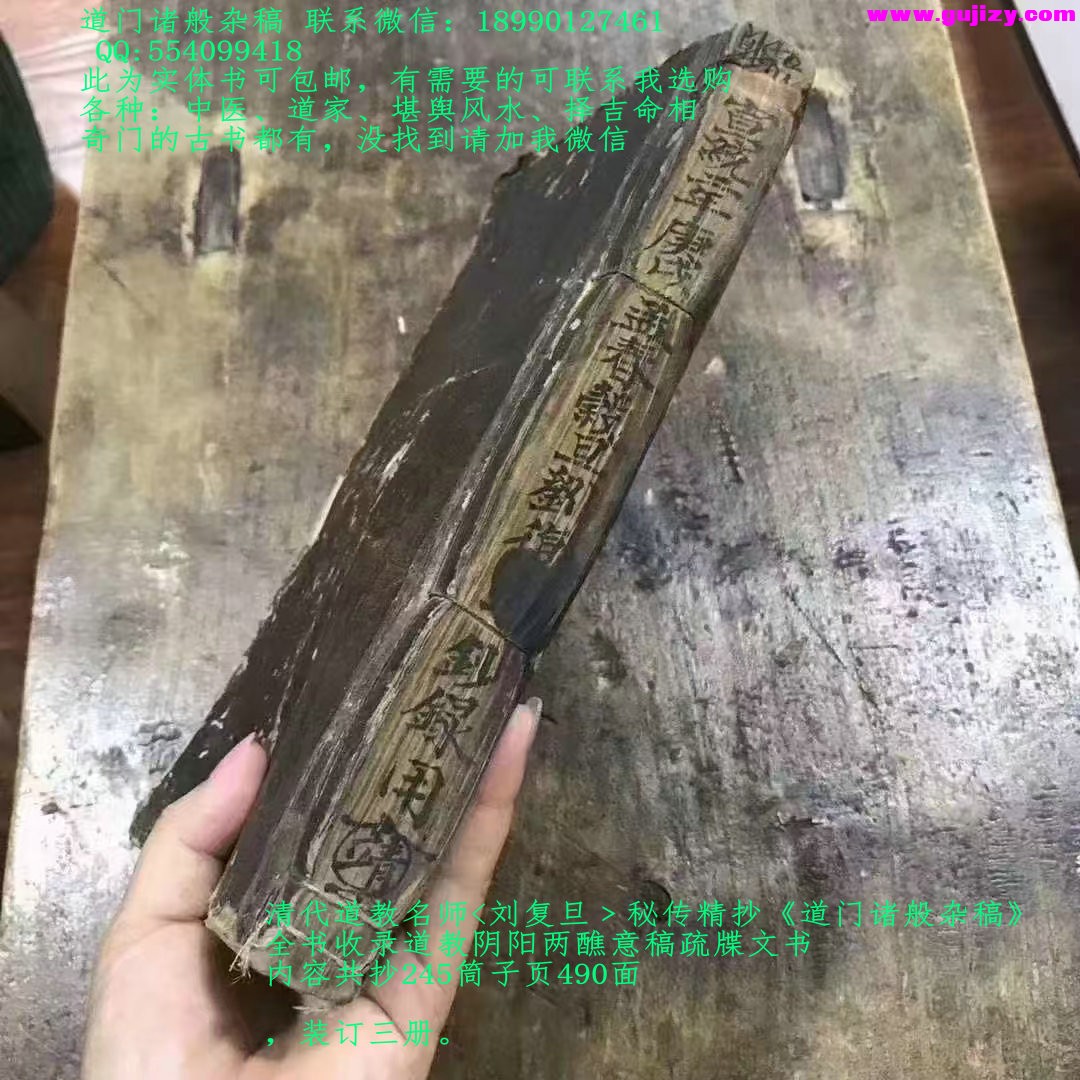 1737384414801.jpg