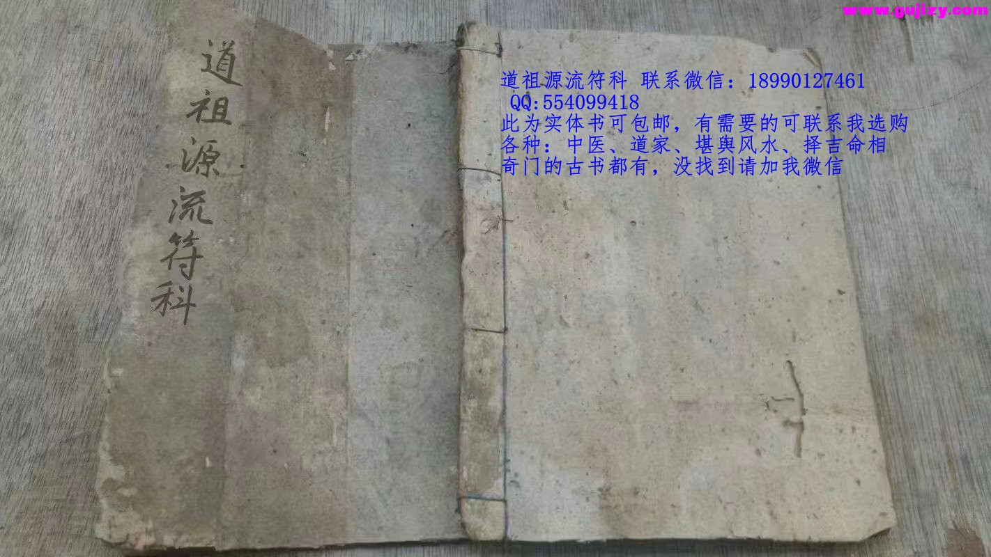 1723048679706.jpg