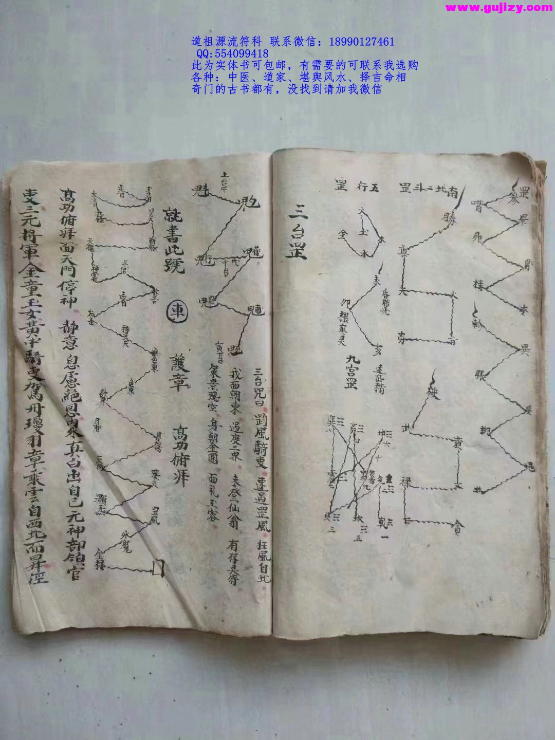 1723048690822.jpg