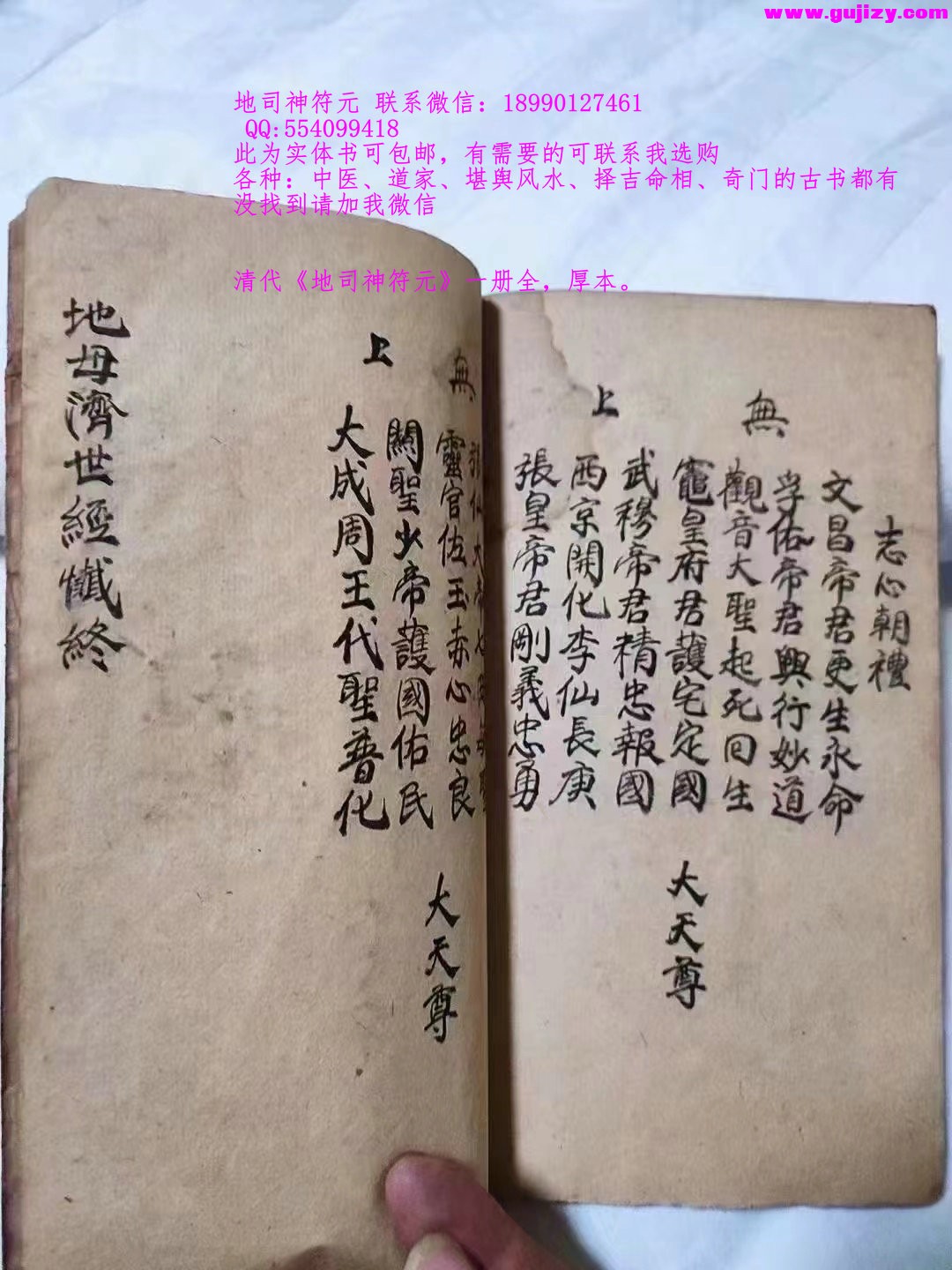 1722153256309.jpg