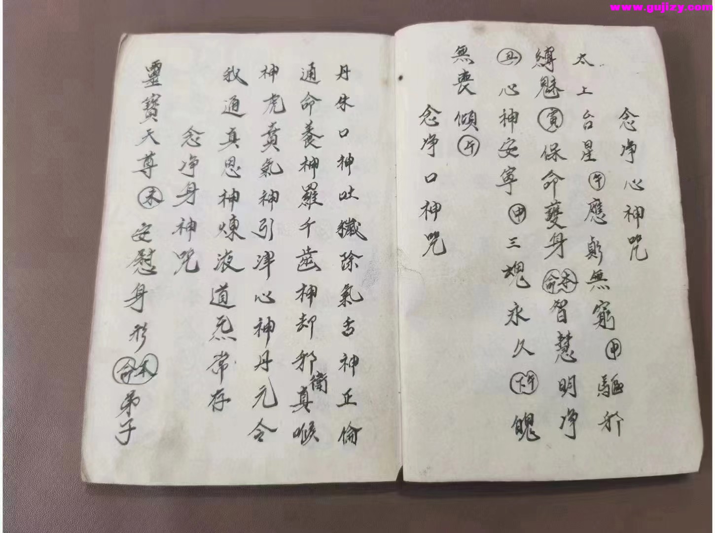 1723172954959.jpg