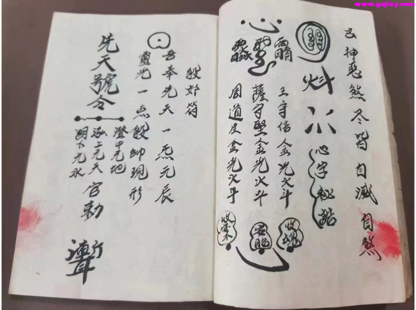 1723172965130.jpg