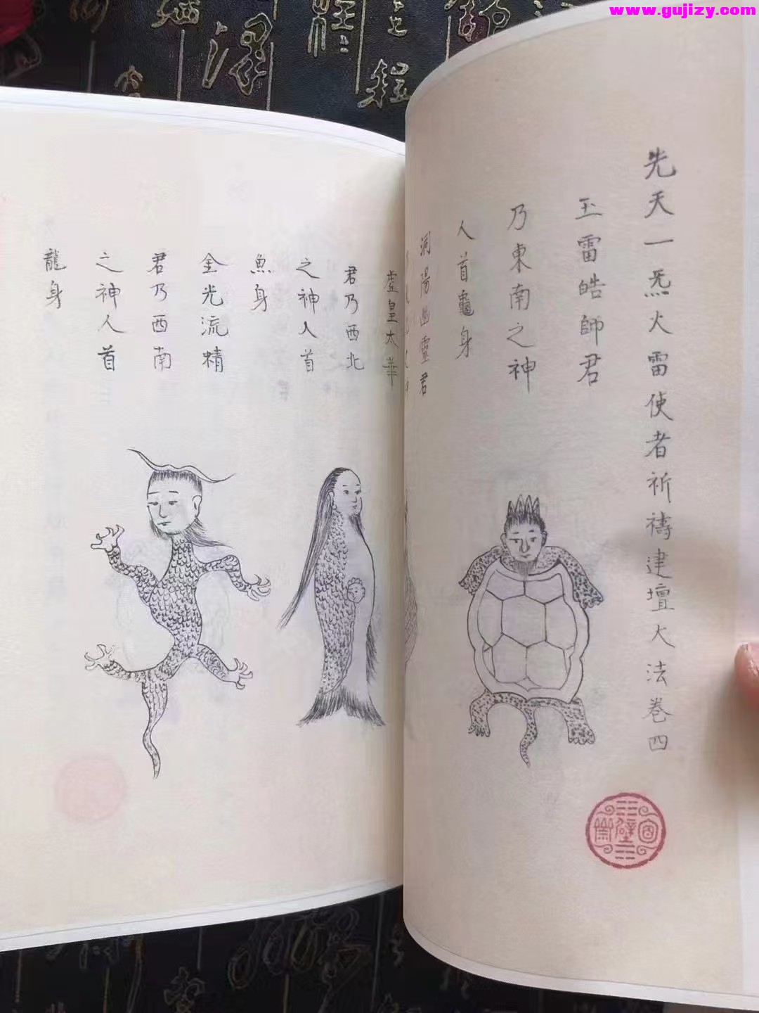 1739344463443.jpg