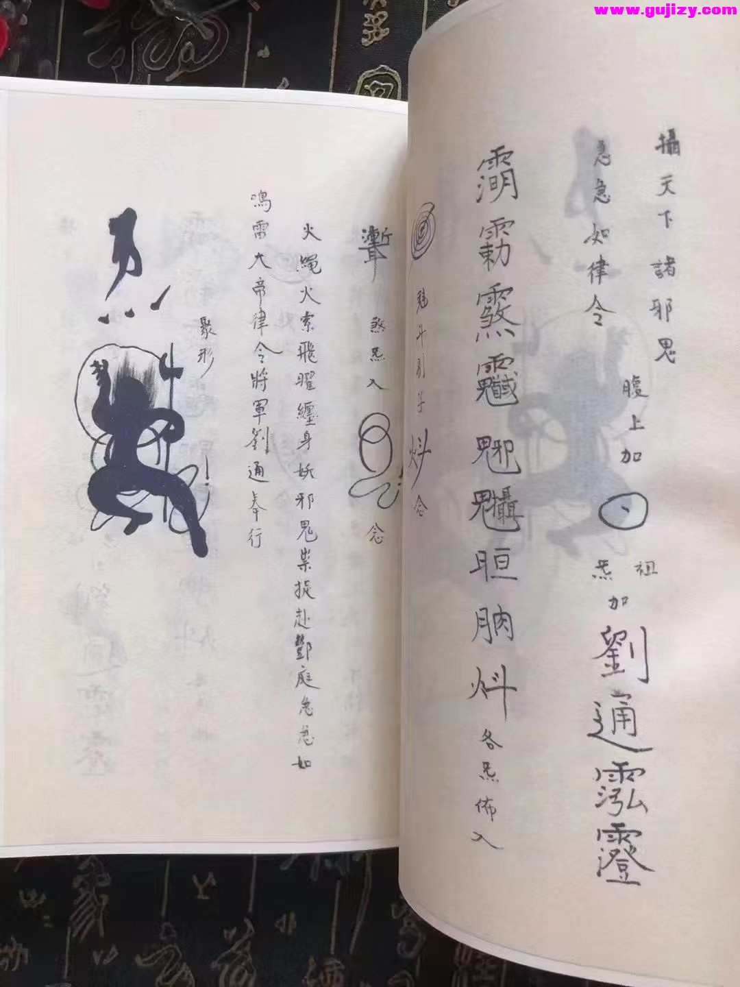 1739344470086.jpg