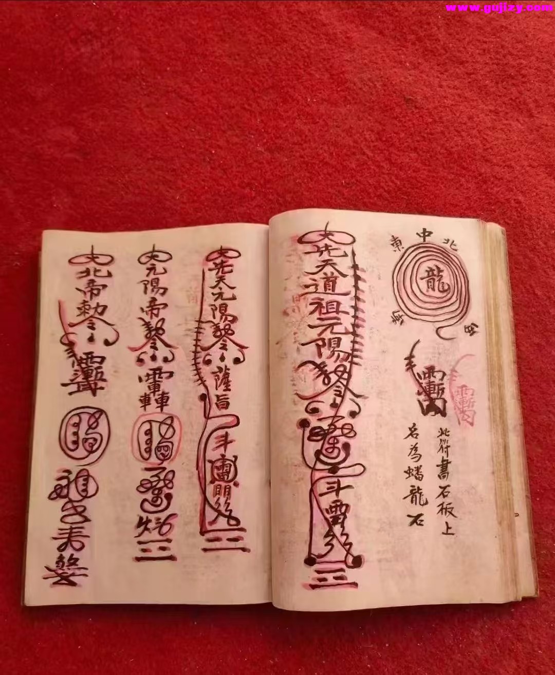 1737374778287.jpg
