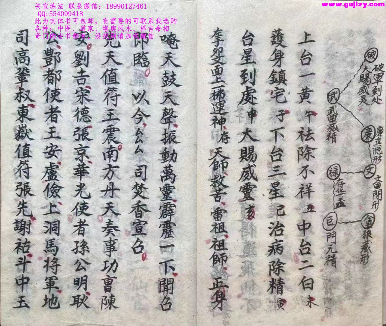 1725336082485.jpg