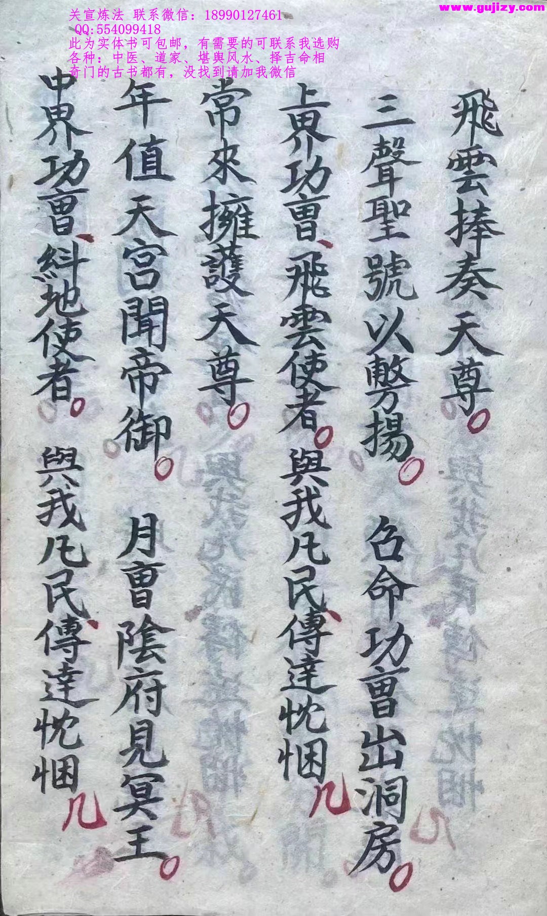 1725336078049.jpg