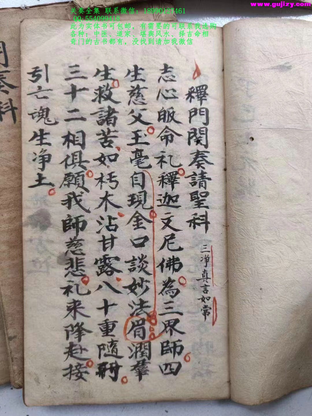 1723396393891.jpg
