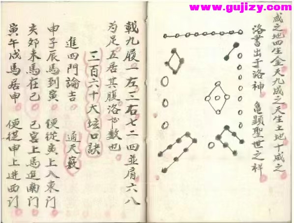 1739170802443.jpg