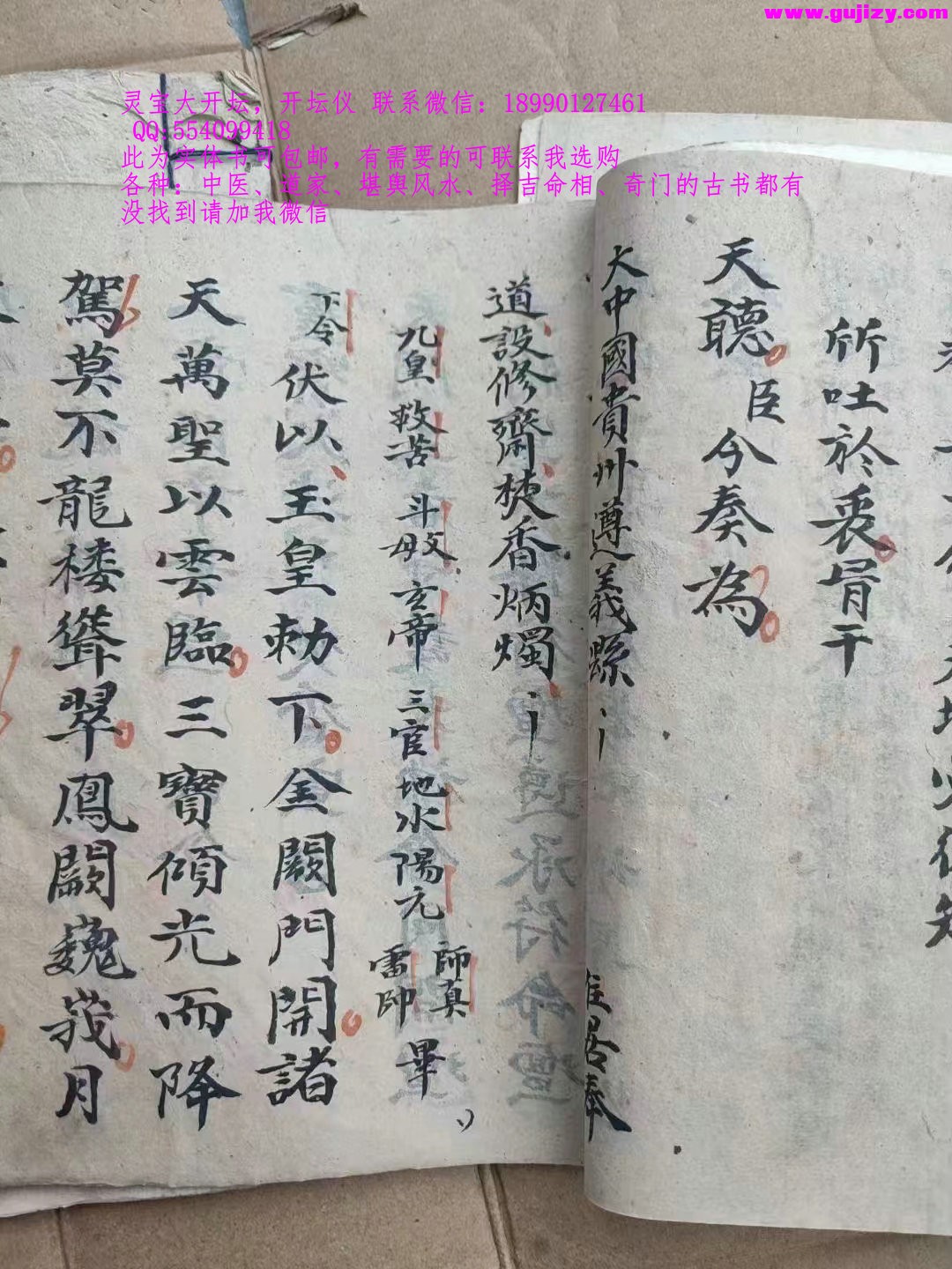 1722154822746.jpg