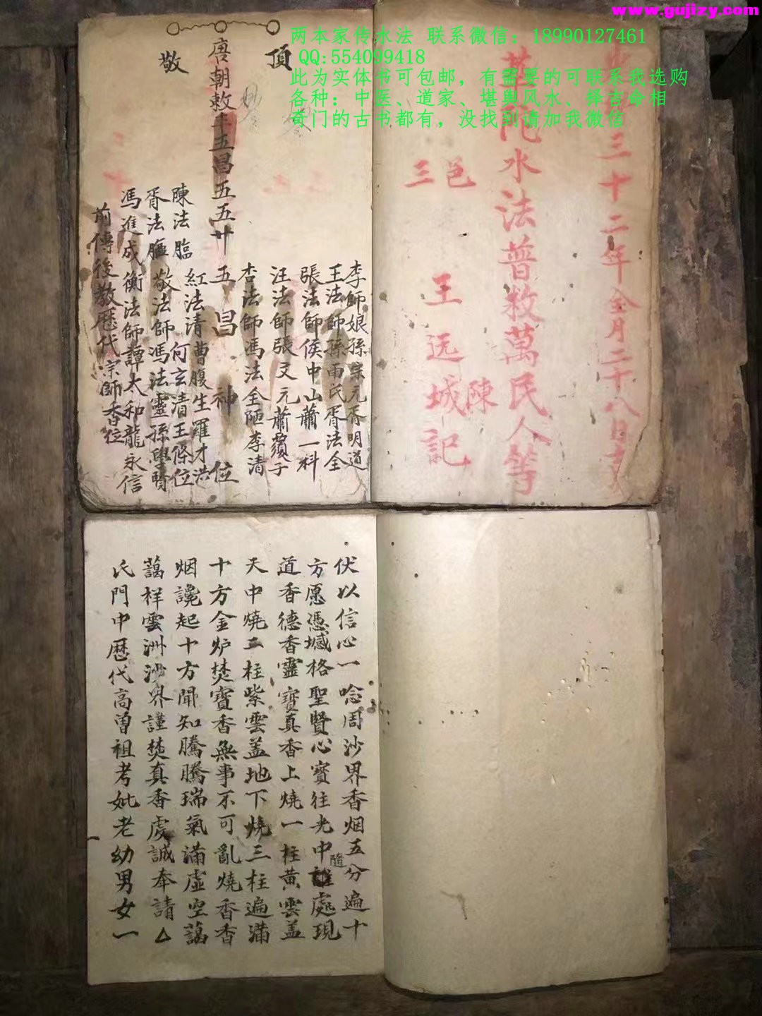 1723051666204.jpg