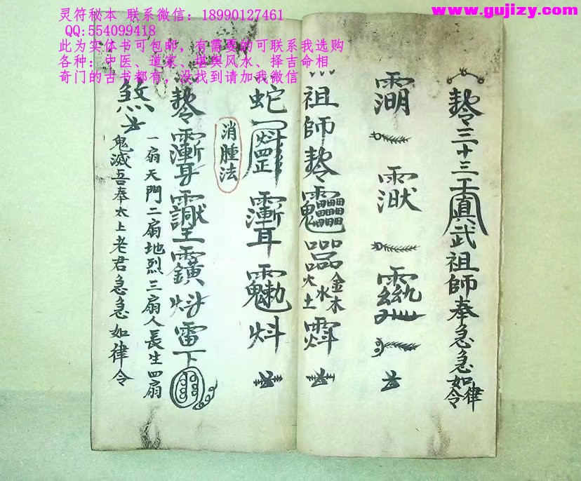 1723396701358.jpg