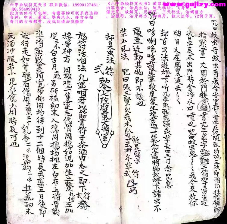 1738377071714.jpg