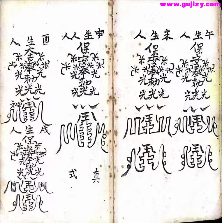 1738377081155.jpg