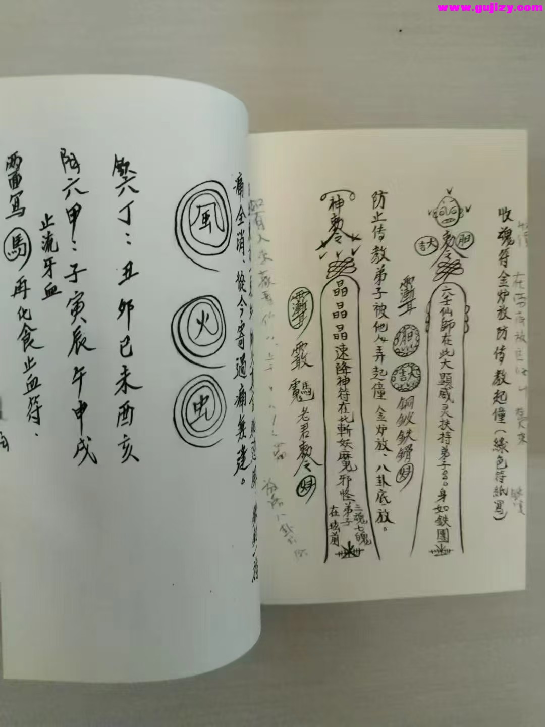 1739247441089.jpg