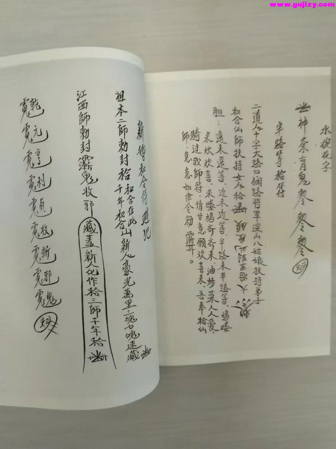 1739247445558.jpg