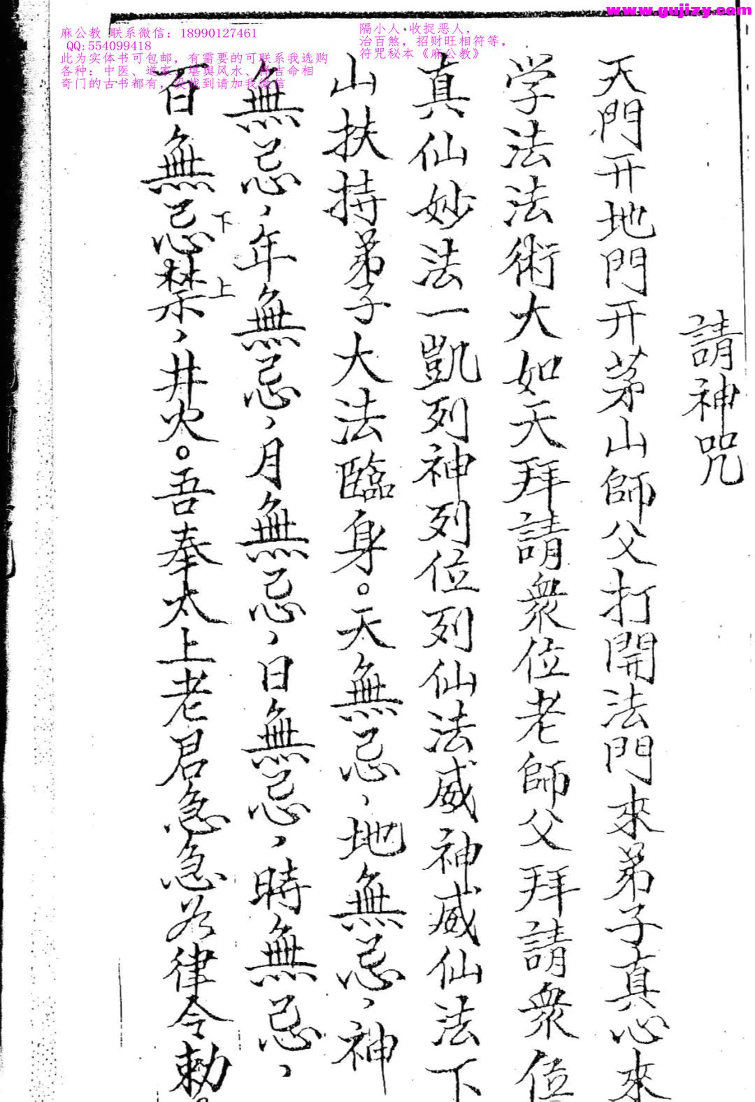 1739247147417.jpg