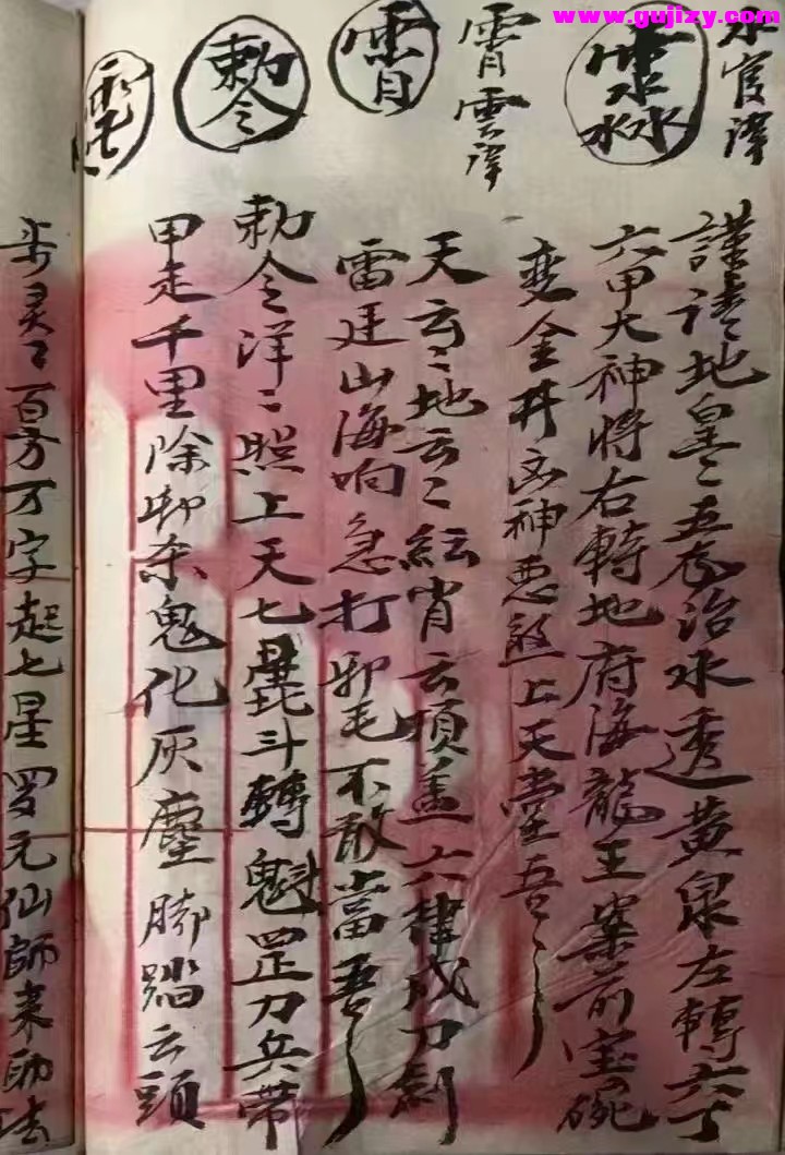 1725339912402.jpg