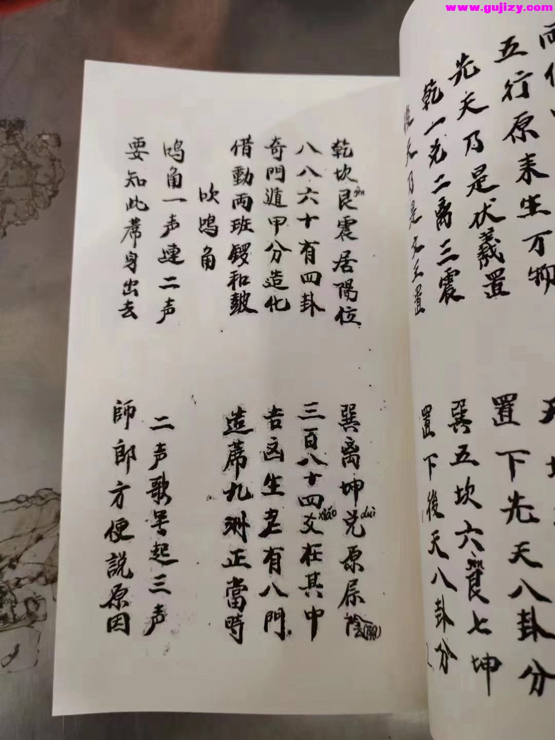 1725300043559.jpg