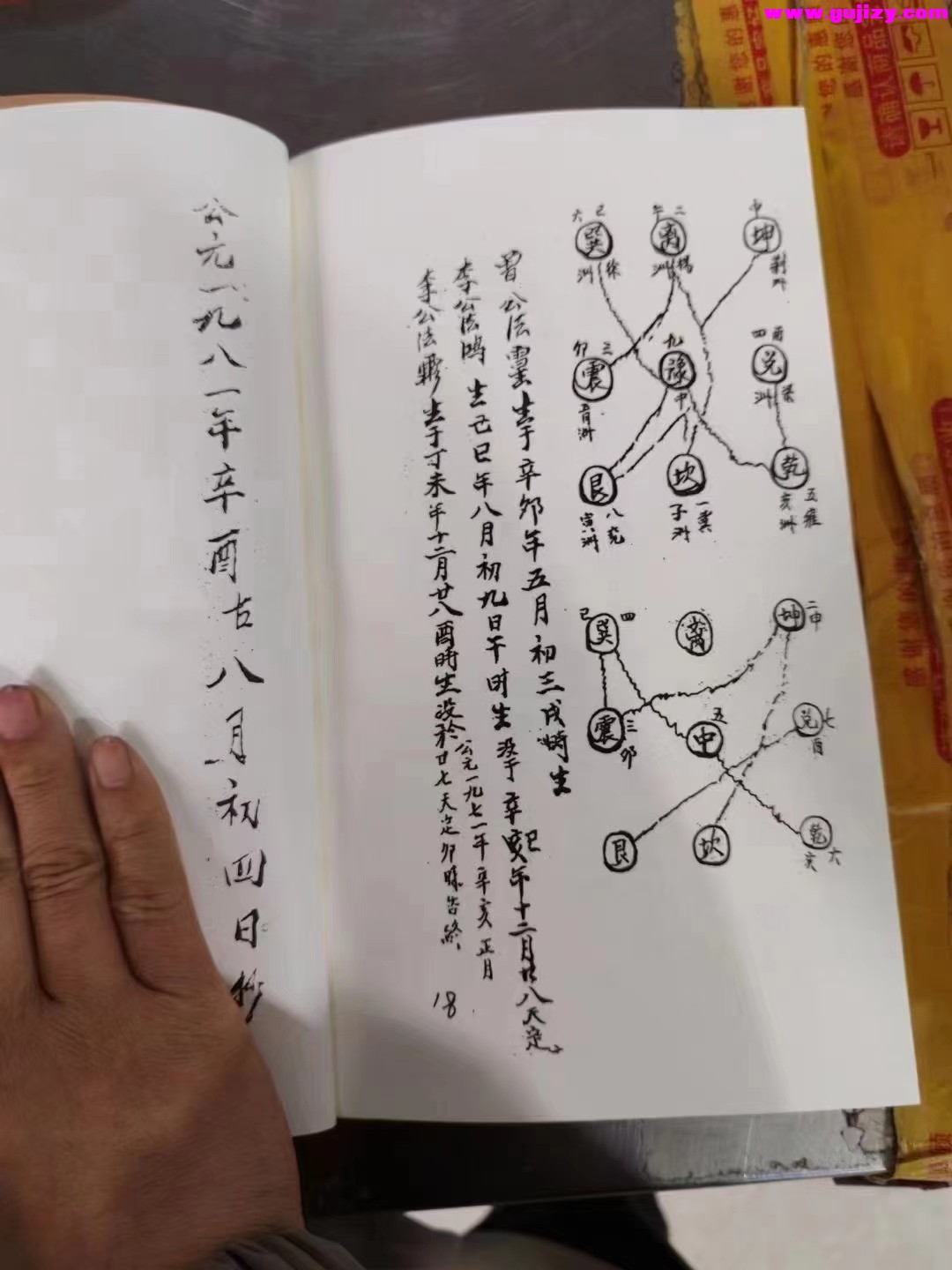 1725300051774.jpg