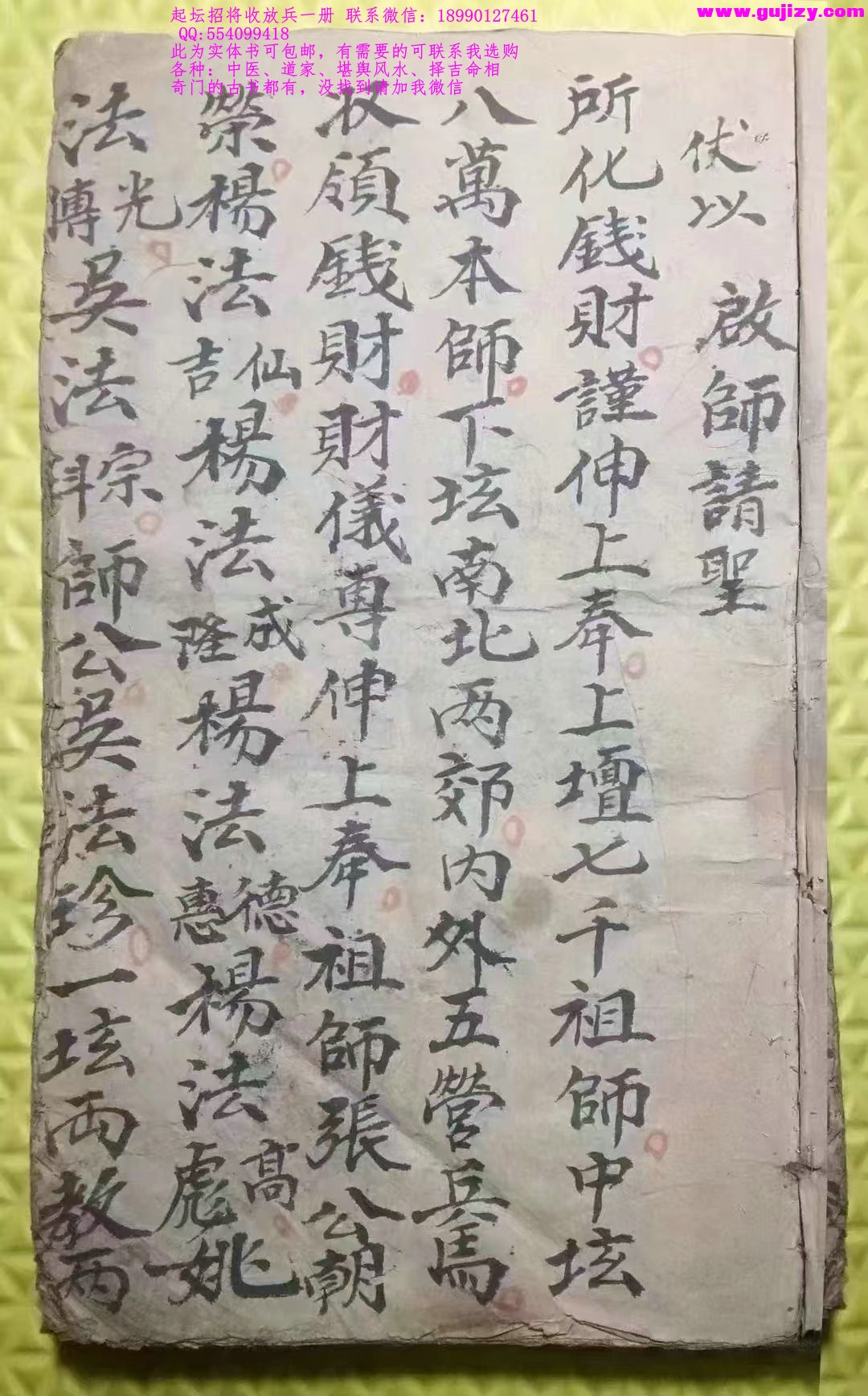 1725298513402.jpg