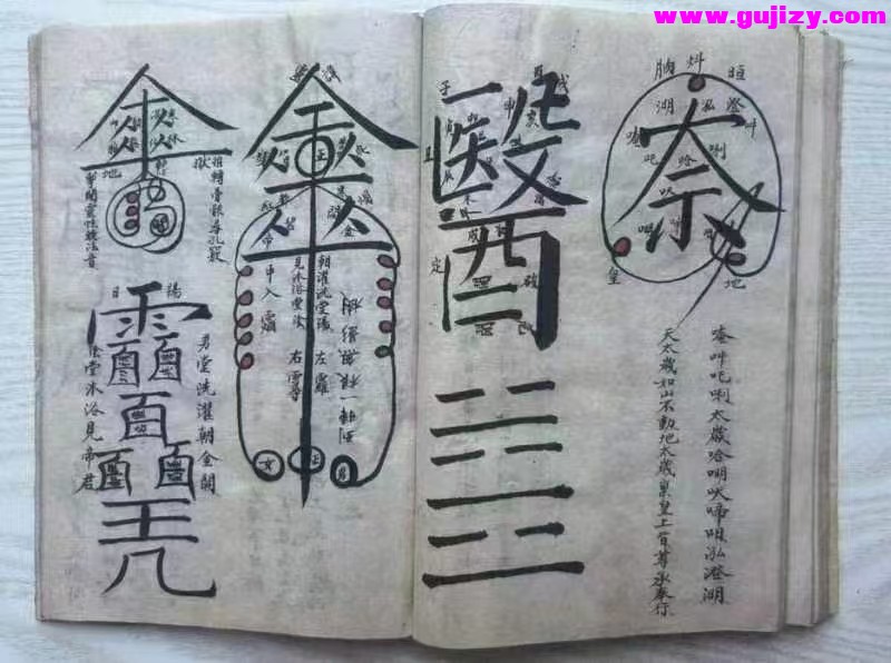 1737384319625.jpg