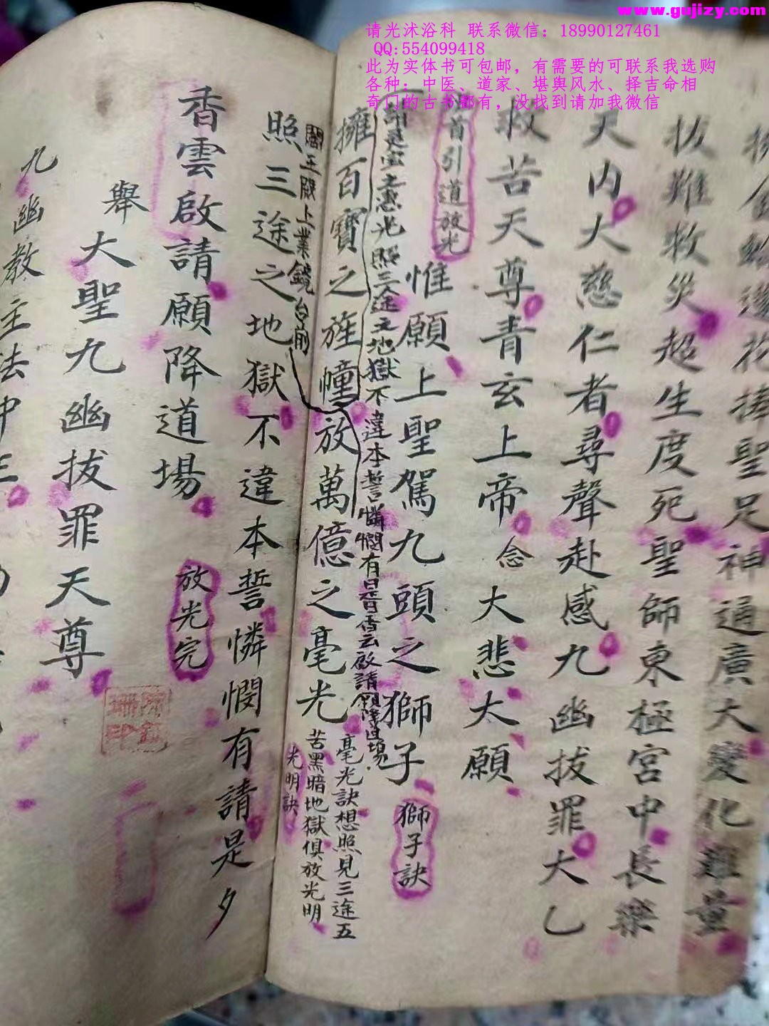 1723910987802.jpg