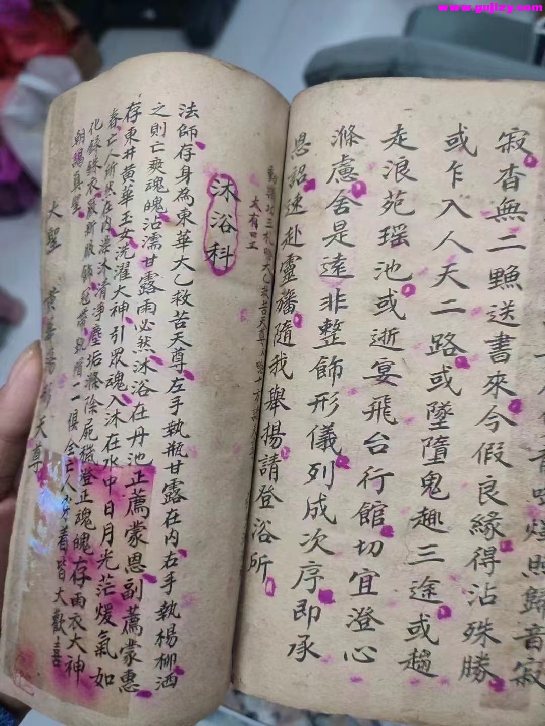 1723910992898.jpg