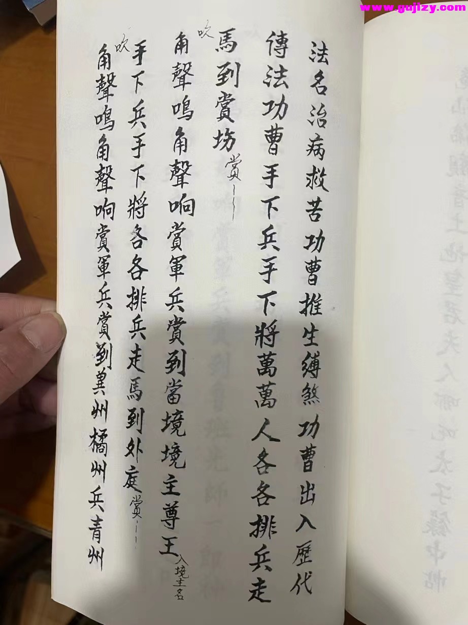 1723049246325.jpg