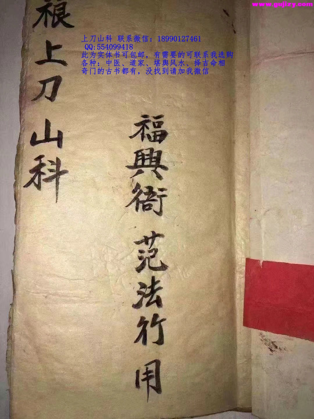 1723048943183.jpg