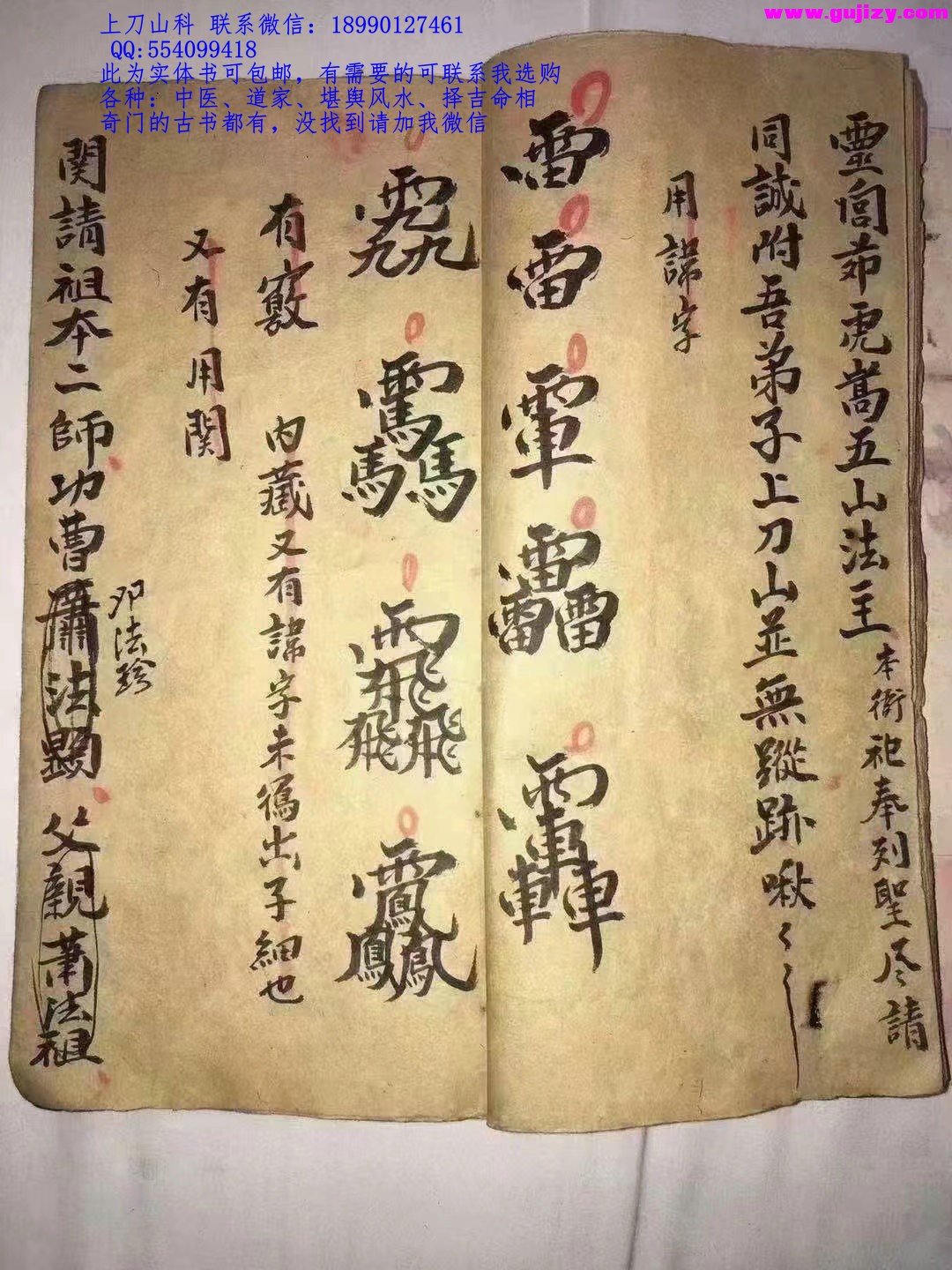 1723048949026.jpg