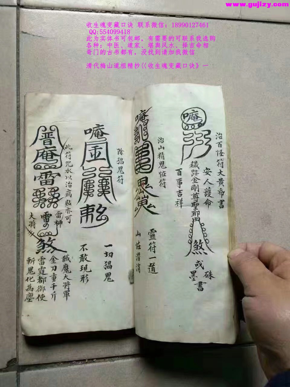 1722149119287.jpg