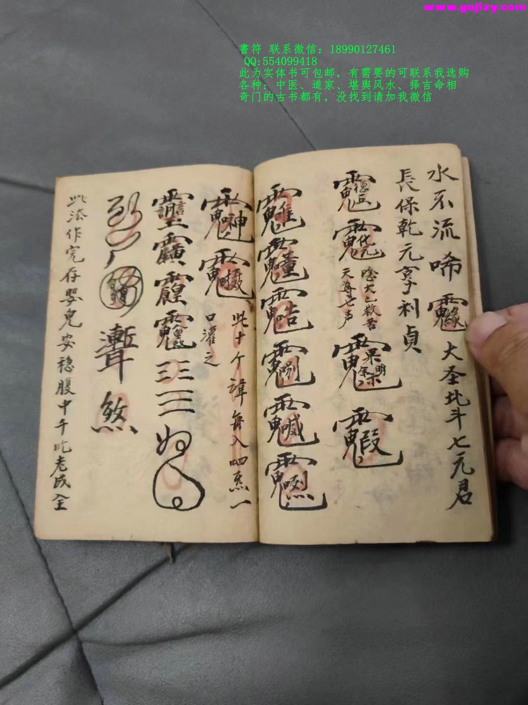 1723191202045.jpg