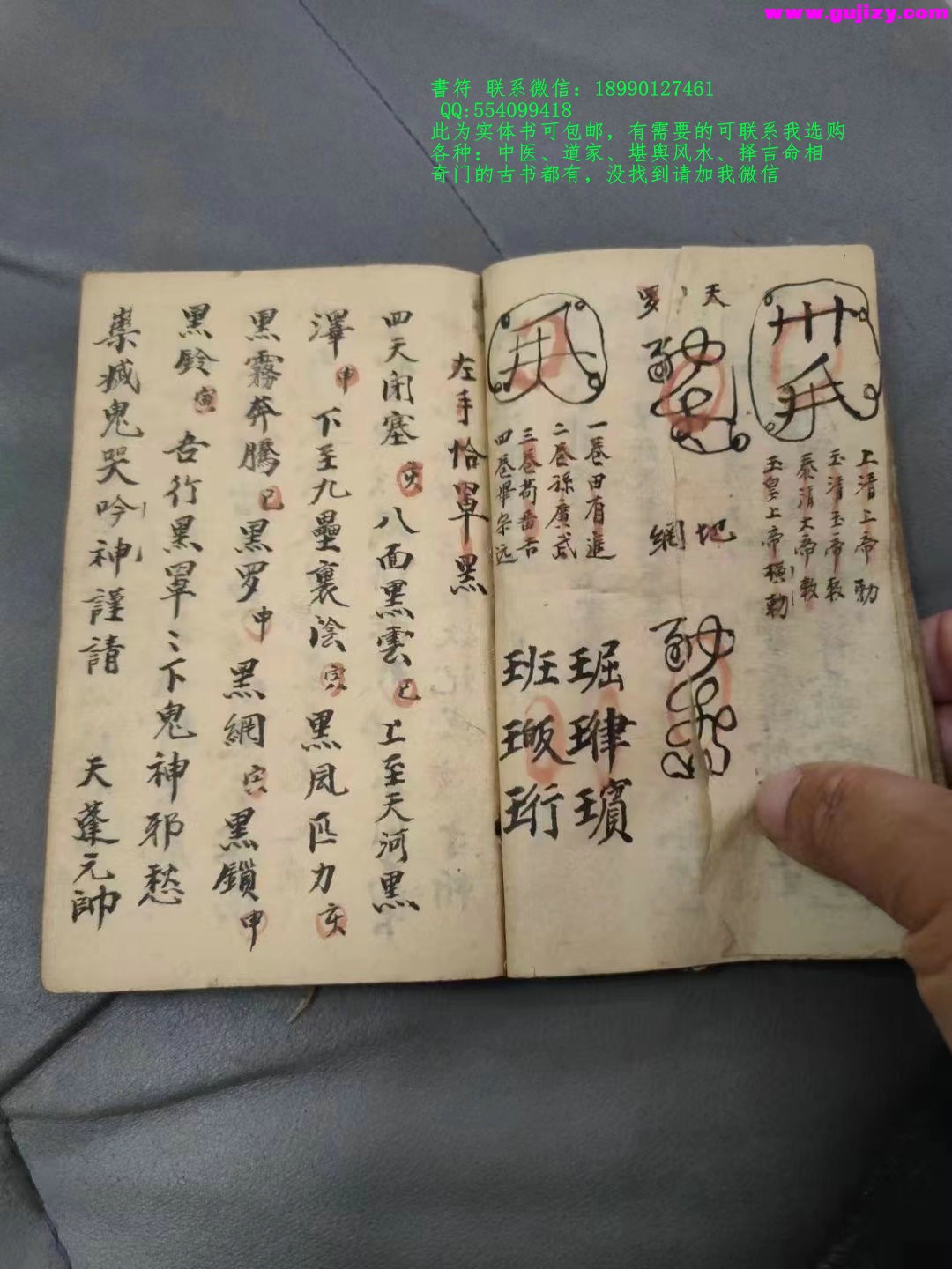 1723191200341.jpg