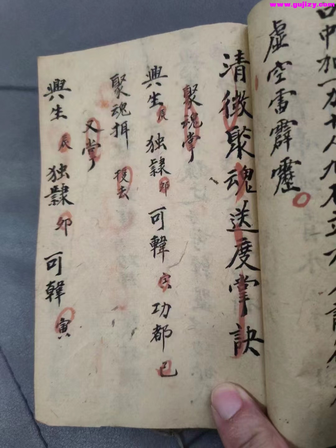 1723191203673.jpg