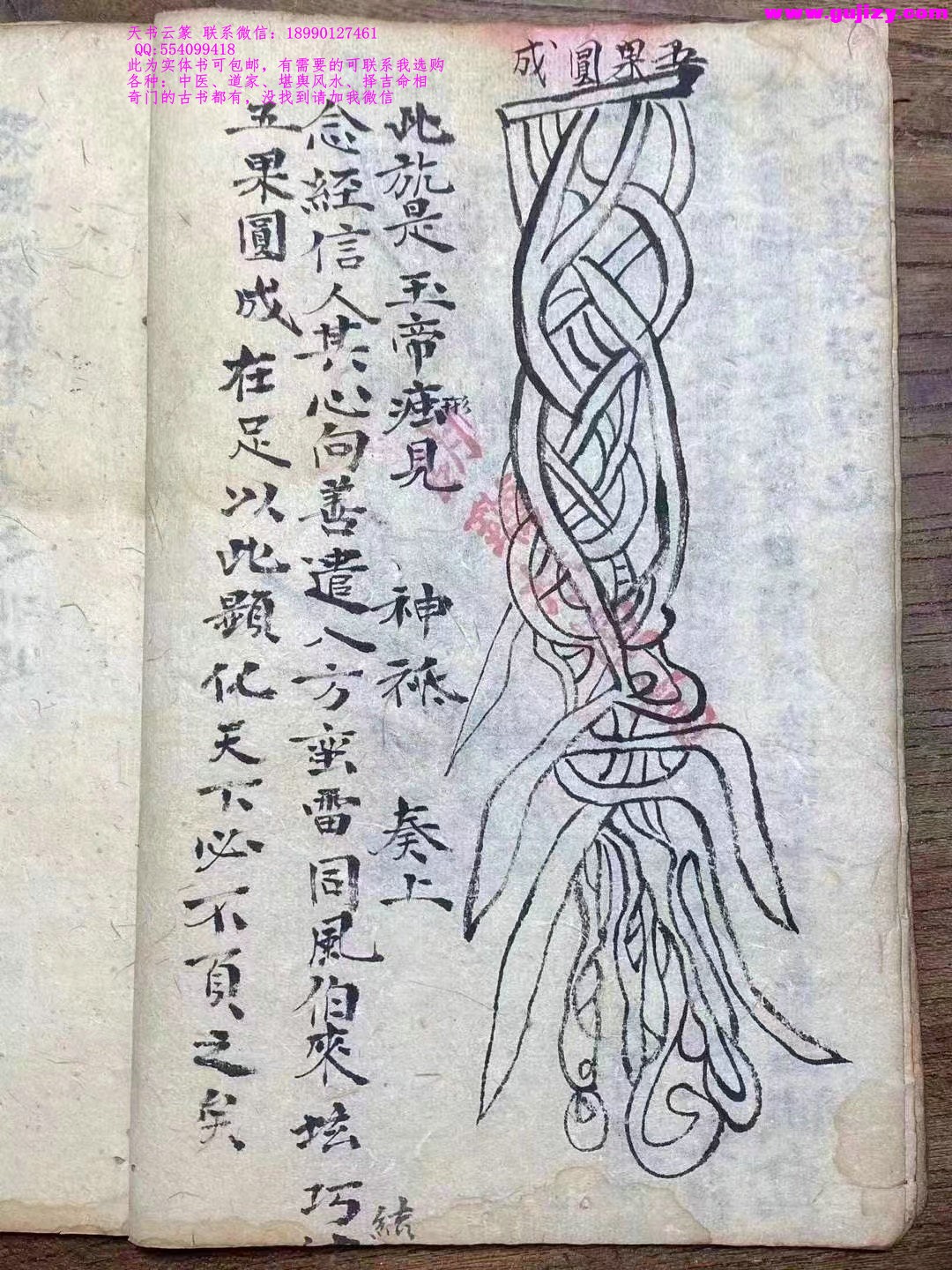 1723651684384.jpg