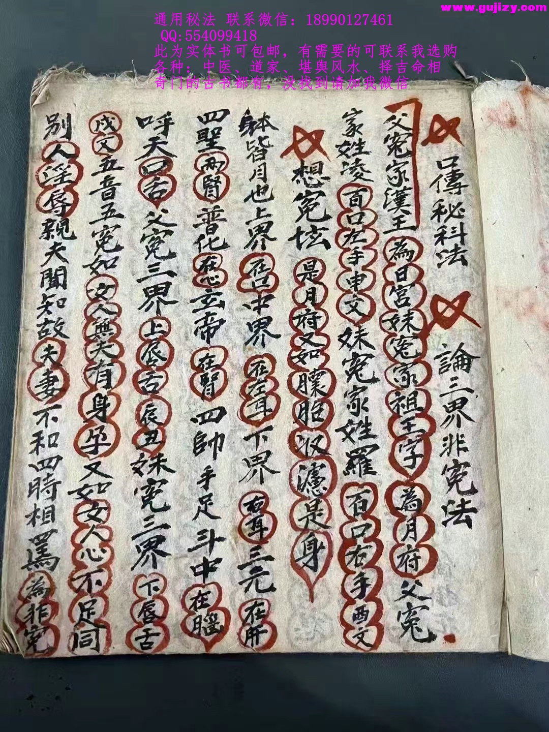 1723182510212.jpg
