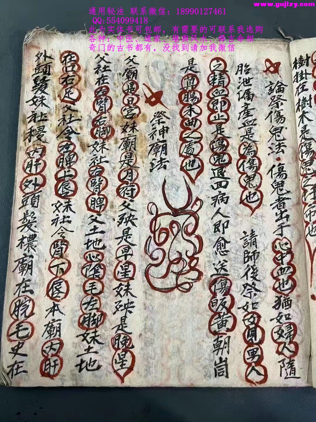 1723182513426.jpg