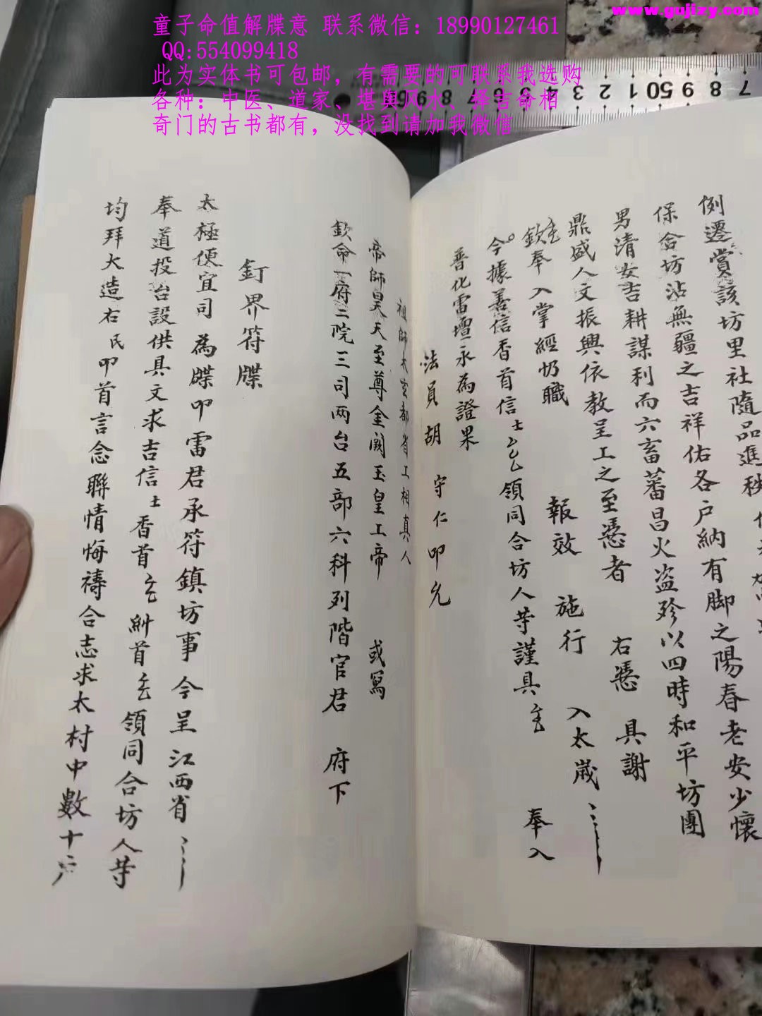1723172837441.jpg