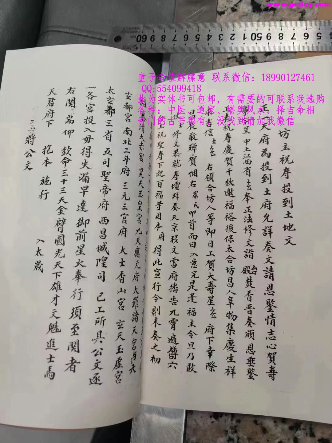 1723172842260.jpg