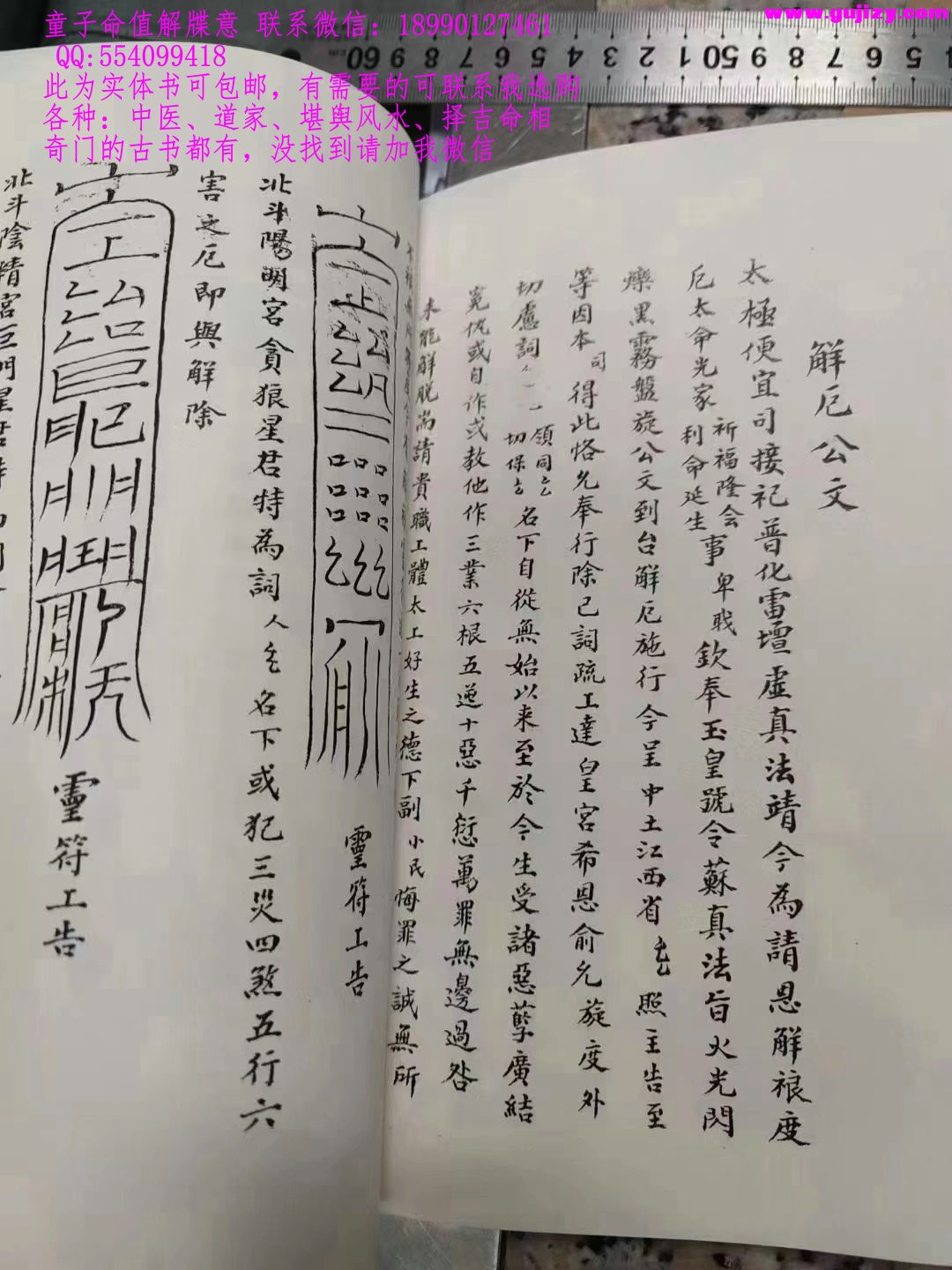 1723172839154.jpg