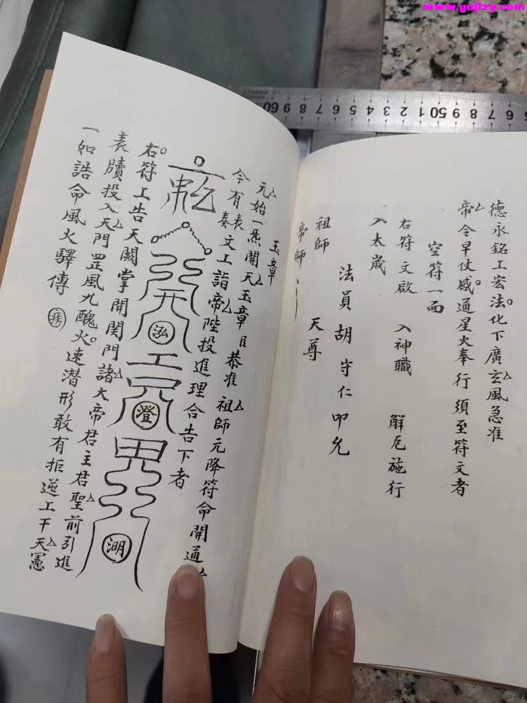 1723172847841.jpg
